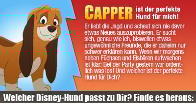 Zum Bolt - Ein Hund für alle Fälle Spiel zum Film bei der Film-Community moviepilot